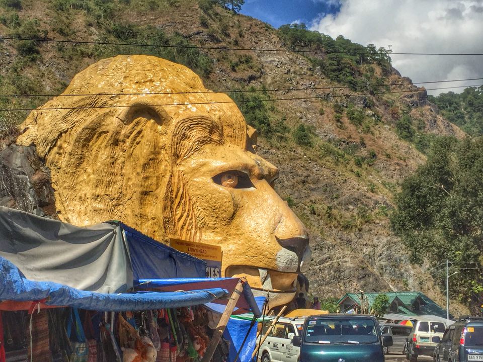 Kennon Road Lion